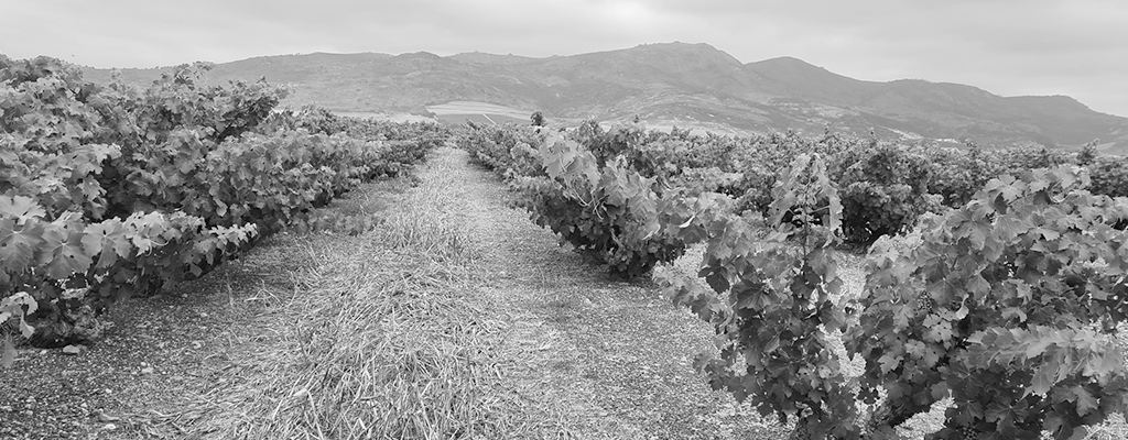AgterPaarl-1024x400-1